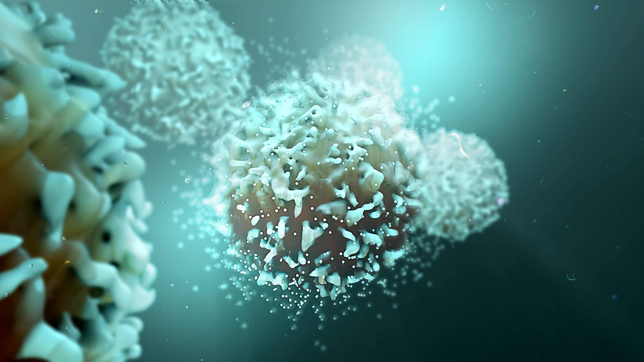 Immuno-oncology digests: The Power of Innate Immune Cells to Improve Cancer Immunotherapies