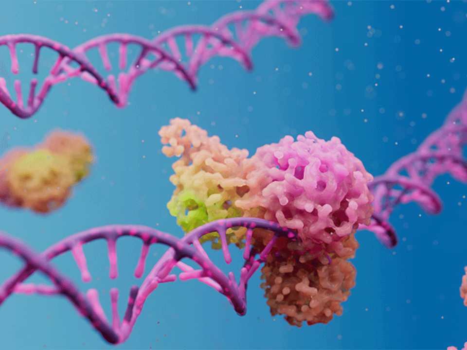 Kolorowy rysunek przedstawiający DNA