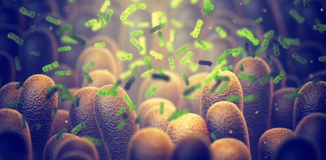 Ultra-sensitive mass spectrometry sheds light on the microbiome