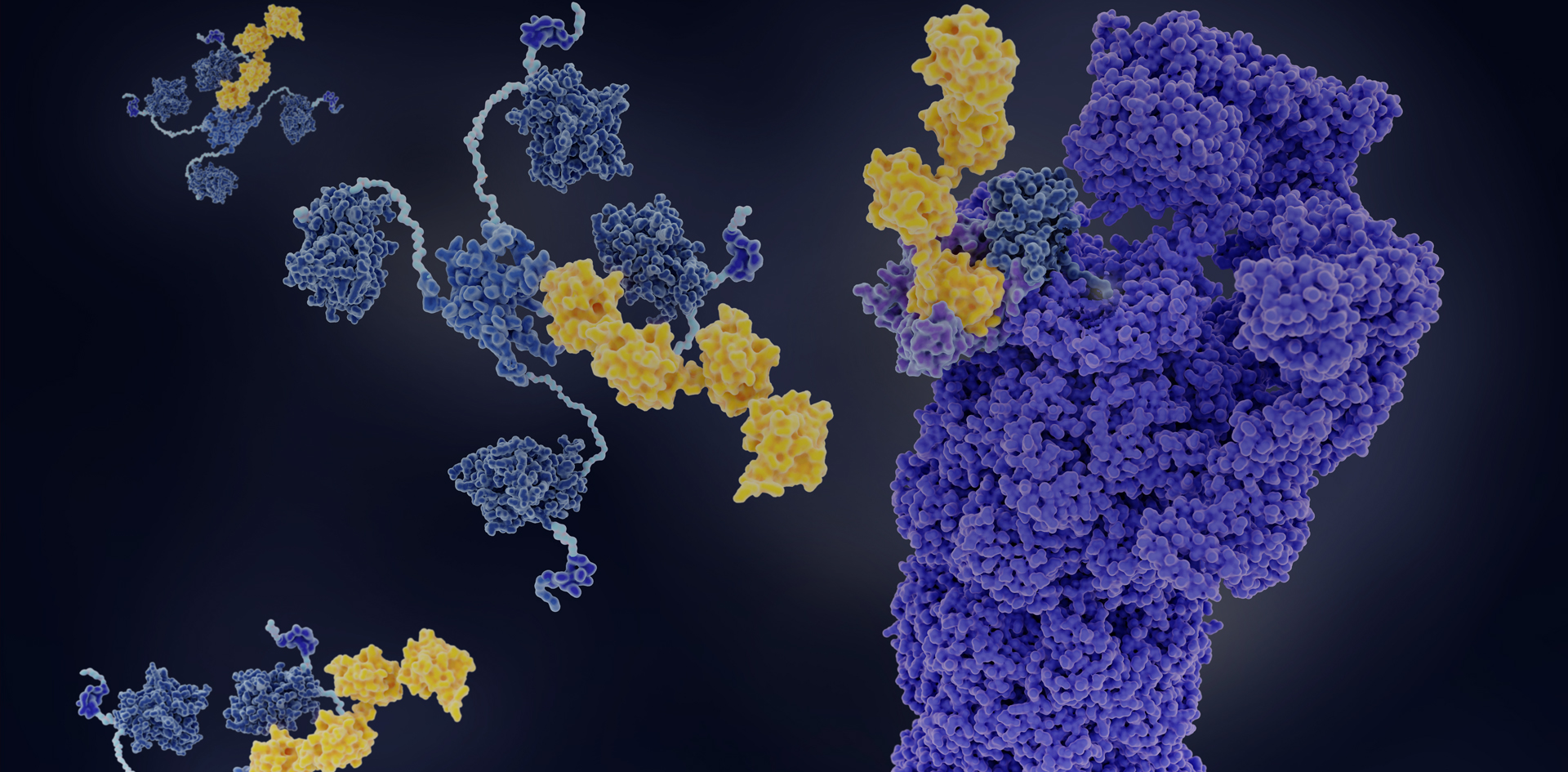 Unlock the therapeutic potential of targeted protein degradation with deep proteomic screening